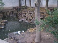 android_upload_pic-北寺塔