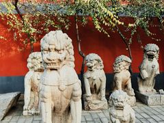 -正定古城-开元寺