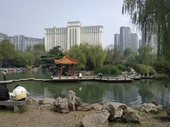 -西苑公园
