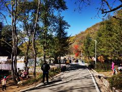 -参仙谷生态旅游度假区