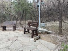 -周口店北京人遗址公园
