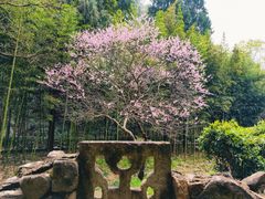 -黄公望隐居地