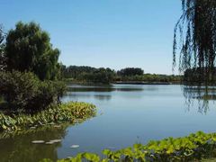 -东郊湿地公园