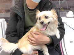 -FAELING PETS美天灵宠物(富力广场店)