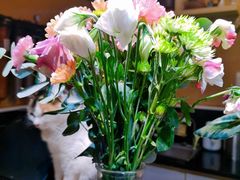 -天一朴素(武汉大学店)