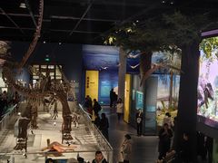 -国家自然博物馆