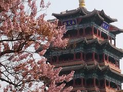 -门城湖公园