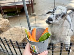 -神户市立六甲山牧场