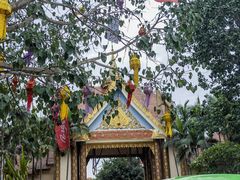 -西双版纳傣族园