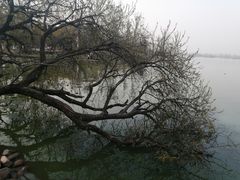 -西昌邛海湿地
