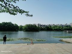 -新江湾城公园