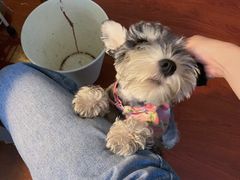 -零几体验diy皮具工作室(振业城店)
