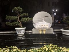 -广州白天鹅宾馆