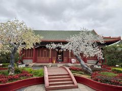 -珠海圆明新园