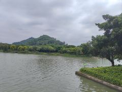 -顺峰山公园