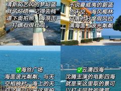 -南澳岛打卡果汁冰公司