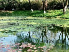 -玄武湖景区-情侣园游乐场