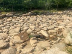 -无锡动物园·太湖欢乐园