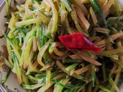 -鸢飞潍坊菜馆(鸢飞大酒店)