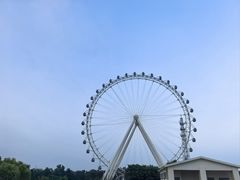 -日照海滨国家森林公园