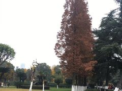 -四川大学(华西校区)