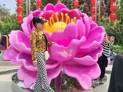 -太阳宫公园