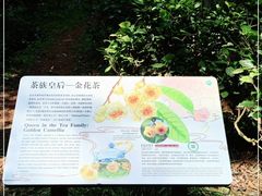-昆明植物园