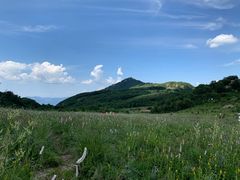 -白草畔自然风景区