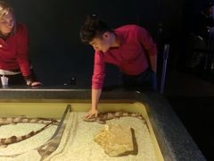 -瑞普利水族馆