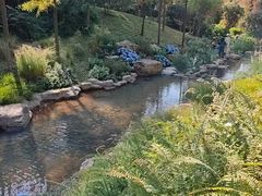 -云溪植物园