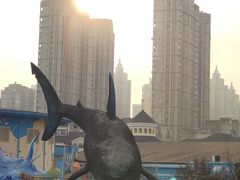 -海合安武汉极地海洋公园