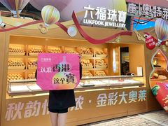 -盛京大奥莱(沈阳奥体店)
