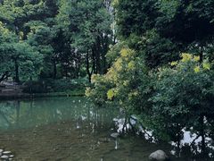 -成都市活水公园