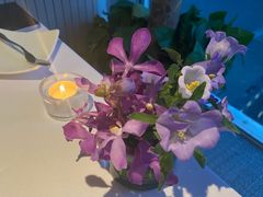 -蝶舍·MAISON PAPILLON