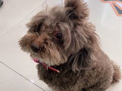 -佳雯宠物医院(金华南路分院)