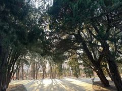 -旅顺留声机博物馆