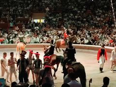 -俄罗斯国家大马戏团