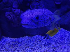 -成都浩海立方海洋公园