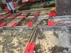 -湛江渔港·大排档(乐园路总店)
