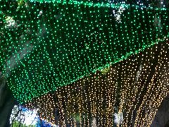 -横店影视城梦幻谷园区