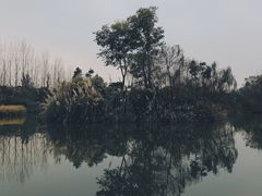 -白鹭湾湿地公园