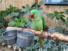 -南宫五洲植物乐园