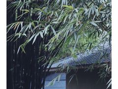 -晓港公园