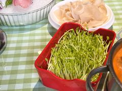 -番食园鲜食火锅(高新店)