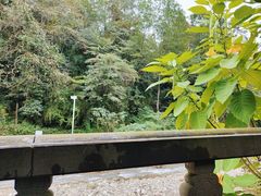 -华冠悠岚·庭院餐厅(青城后山店)