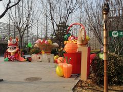 -南宫五洲植物乐园