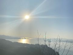 -千岛湖天屿景区