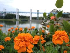 景点-东莞植物园