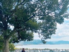 -东钱湖小普陀景区
