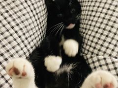 -中国工商银行(江苏省分行营业部)